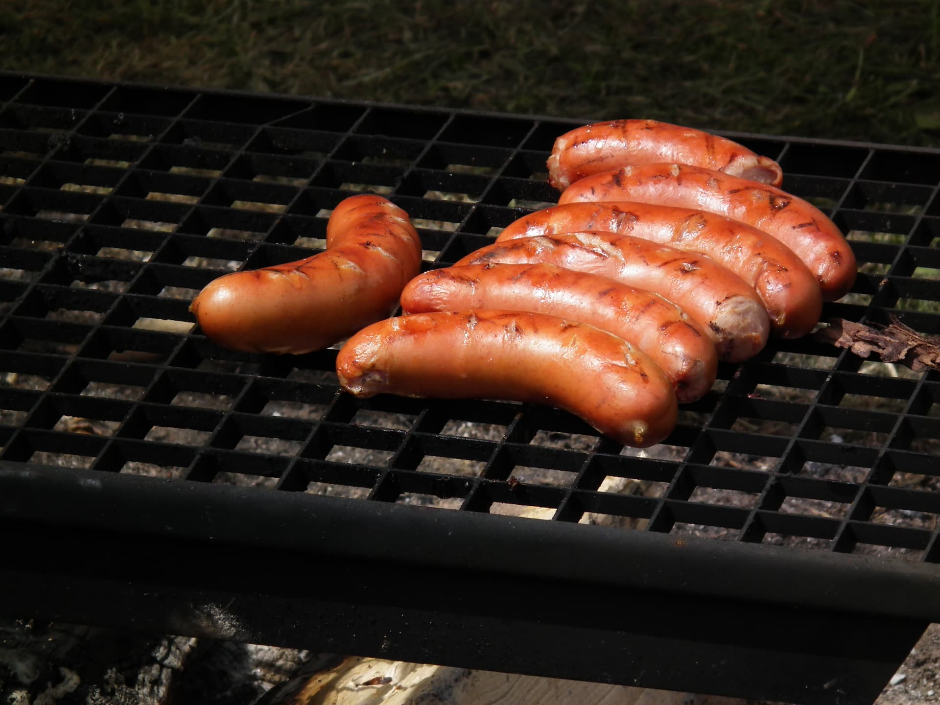 Homemade Goose Grillworst (Grill Sausage)