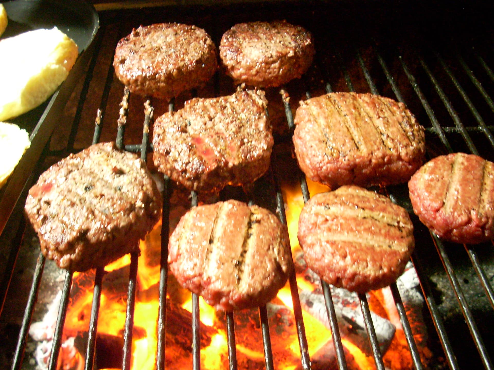 Goose Burgers — A Recipe by Youri