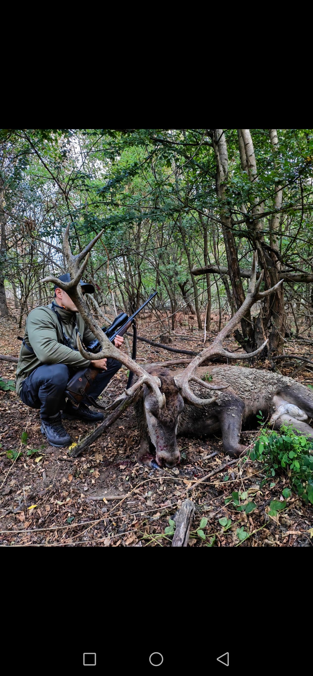 Red stag hunting photo 2