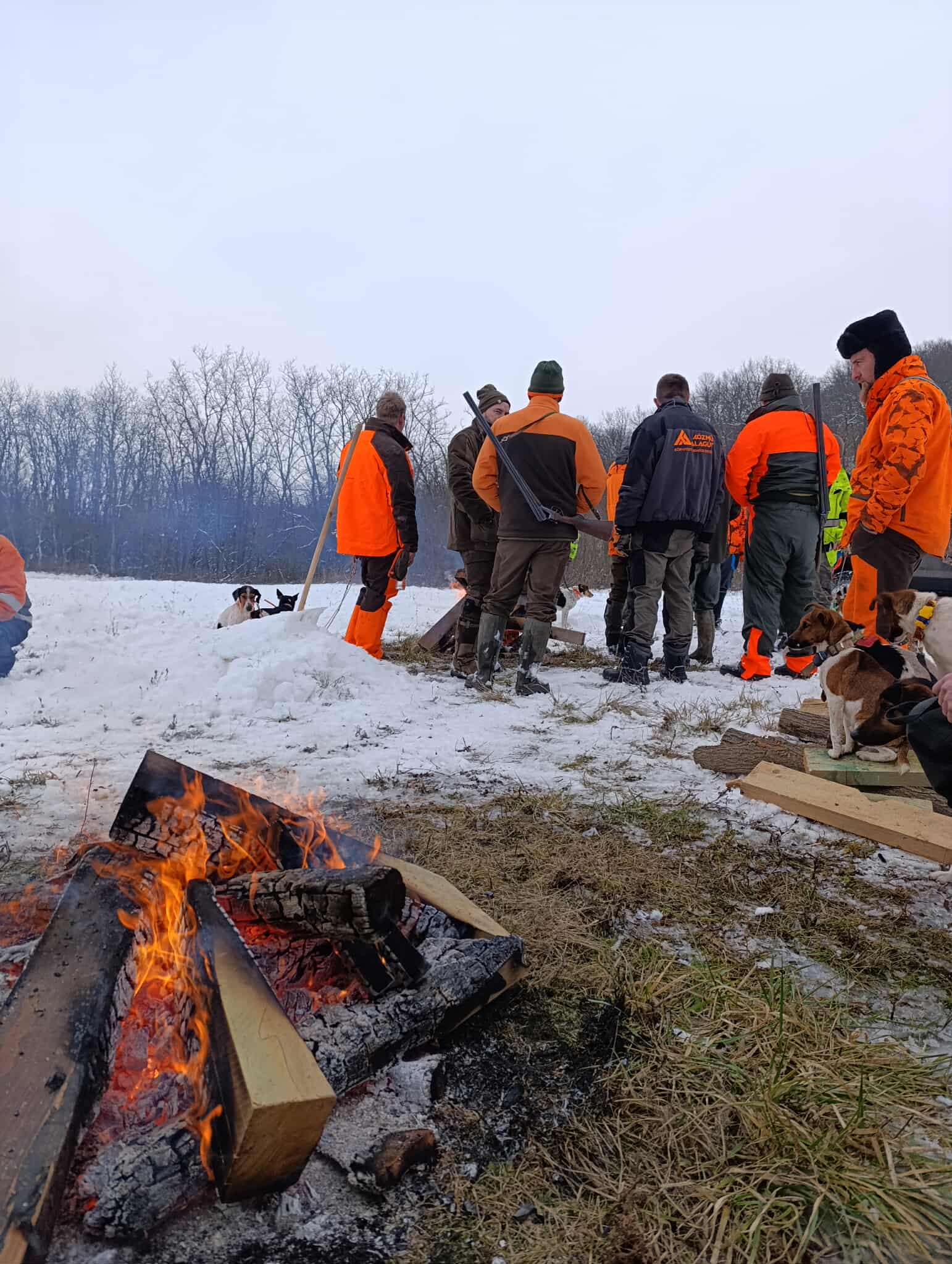 Multi-Day Driven Hunt in Hungary photo 2