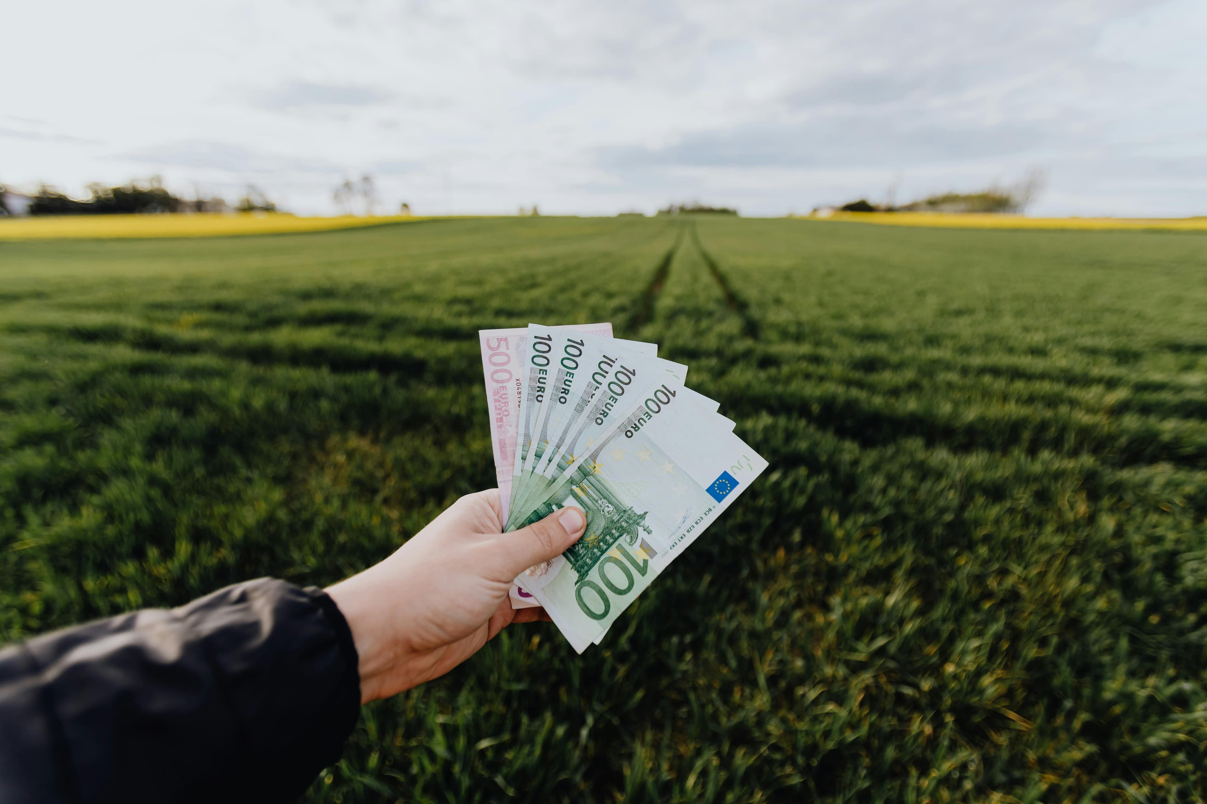Hunting Licences Across Europe: What You Pay, What You Need to Know, and Why It Matters