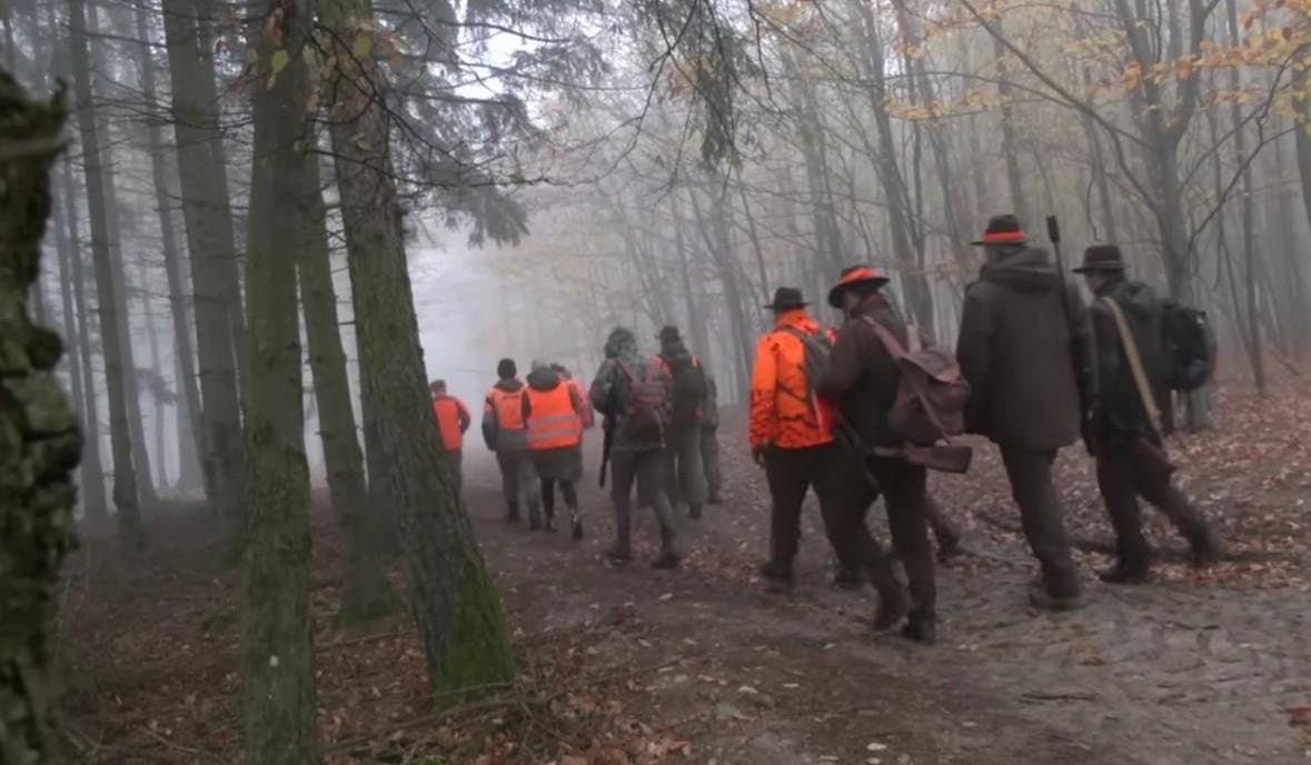 Driven Hunt in the Czech Republic – 19–21 November 2026 (last 4 places)